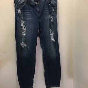 Torrid Plus Distressed Skinny Jeans